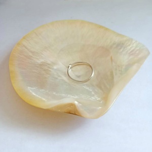 Cây Lau Nhà Màu Vàng Tự Nhiên Vỏ Hải Lý Trang Trí Nội Thất Tự Làm Vỏ Sò Trang Trí Đám Cưới Bãi Biển Nhà Hàng Đại Dương Khay Gia Vị Trứng Cá Muối - Product Image 2