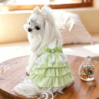 Vêtements d'été élégants et chics pour chats et chiens, robe pour animaux de compagnie, accessoires photo charmants, tenue pour sorties du week-end - Remise en gros