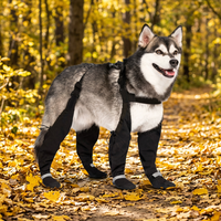 Chaussures antidérapantes pour chien, lot de 4, personnalisées, imperméables, avec semelle en caoutchouc pour la marche en extérieur, vente en gros