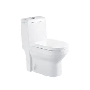 WDSI लक्जरी शौचालय का कटोरा स्वच्छता आइटम सिरेमिक बाथरूम