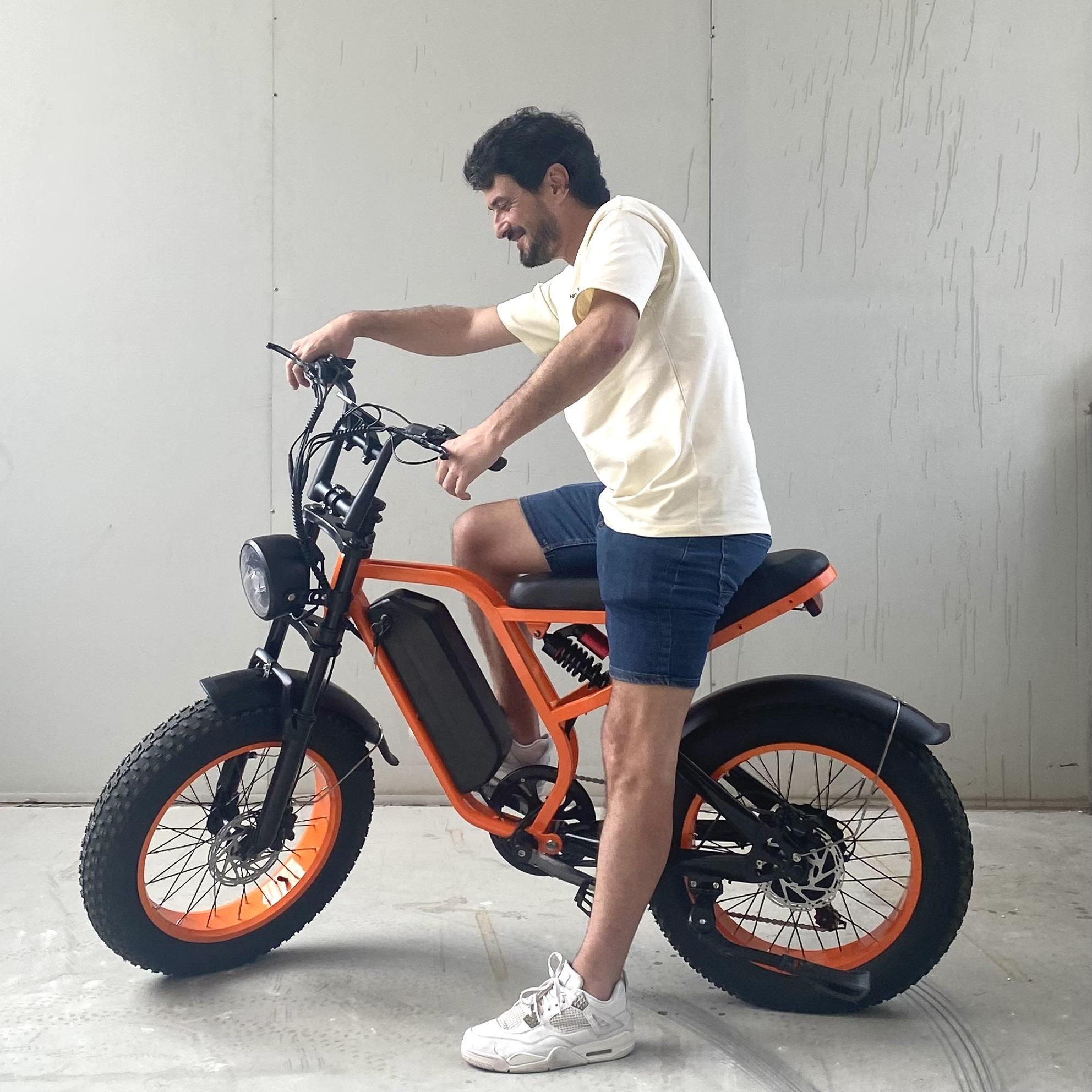 Electric Bicycle Trading Companies Wholesale Retail