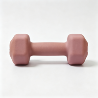 Ensemble d'haltères carrées en PVC avec logo personnalisé, 2LB 3LB 5LB, haltères non roulantes pour femmes, entraînement de force à domicile, fitness