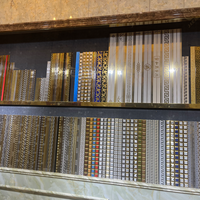 Carreaux de bordure décoratifs en céramique dorée argentée 10x600/20x600/40*600 pour murs intérieurs