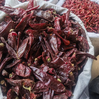 Pimentón rojo seco, pimentón rojo seco, copos de pimiento rojo seco, Chile dulce, pimentón triturado