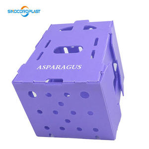 صندوق تعبئة مموج من البولي بروبلين من المصنع لحفظ الخضروات الطازجة والفاكهة والمأكولات البحرية - Product Image 5