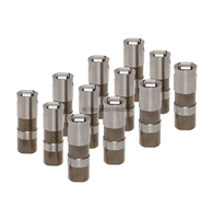 Ensemble de Guides de rouleau élévatrice hydraulique, 16 pouces, 5.3, 5.7, 6.0, LS1, LS2, LS7 25341990/12499225/17122490/ 25349994, 12576400, H12