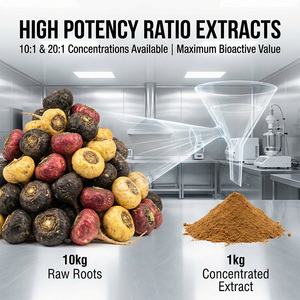 Extracto Natural de Macamidas 0.6%/1% Macaenes Peruanos para Energía y Resistencia, <span class=keywords><strong>en</strong></span> <span class=keywords><strong>Polvo</strong></span> Líquido Soluble <span class=keywords><strong>en</strong></span> Agua, Grado Alimenticio - Product Image 2