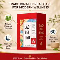 Patchs de Soin des Pieds aux Herbes Traditionnelles de Pékin (OEM/ODM) – 60 Pièces/Boîte – Autocollants Détoxifiants et Relaxants à l'Armoise pour le Corps – Prix de Gros