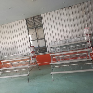 Haute qualité 3/4 niveaux 4 portes couche poulet Cage un Type batterie Cages oeufs pondeuses poules à vendre élevage de volaille - Product Image 3