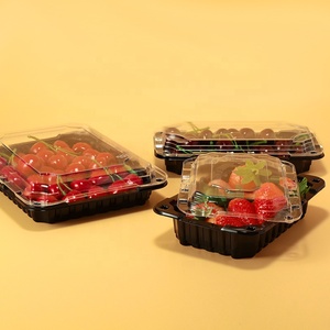 Pet Food Container Foodpet Custom Size Eco Friendly PET Plastic Disposable Fruit Salad Clear Transparent Food Container