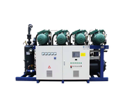 Unité de condensation 12v Dc unité de refroidissement compacte 12v climatiseur compresseur à vis à gaz
