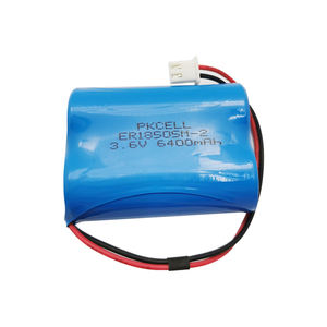 Baterai utama ER18505 ER26500 ER34615 HPC1520 HPC1550 LISOCL2 3.6V untuk IoT lorawan lora lpwan GPS meter pintar - Product Image 1