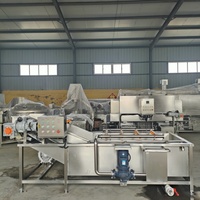 Automatische schone-aanrechtapparatuur voor champignons, bosbessen, aardbeien, kersen, asperges; automatische belletjeswasmachine voor verwerking.