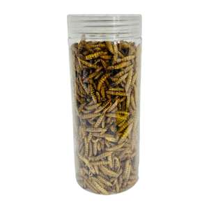 Larves de Mouches Soldat Noires Séchées 100% Naturelles BSFL – Riche en Protéines, Emballage Personnalisé, Alimentation Animale - Product Image 6