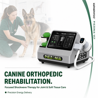 Équipement de thérapie par ondes de choc Kaphaphysio pour animaux (chevaux, chiens, chats) – Équipement vétérinaire pour la rééducation des blessures sportives et cliniques