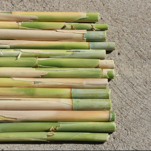 Prix en gros Poteau en bambou écologique de haute qualité - Product Image 2