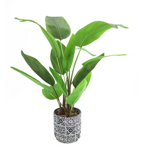 <span class=keywords><strong>Planta</strong></span> Artificial en Maceta de 71 cm de Altura, <span class=keywords><strong>Planta</strong></span> de <span class=keywords><strong>Canna</strong></span> para Decoración de Interiores, Hogar y Cafetería - Product Image 5