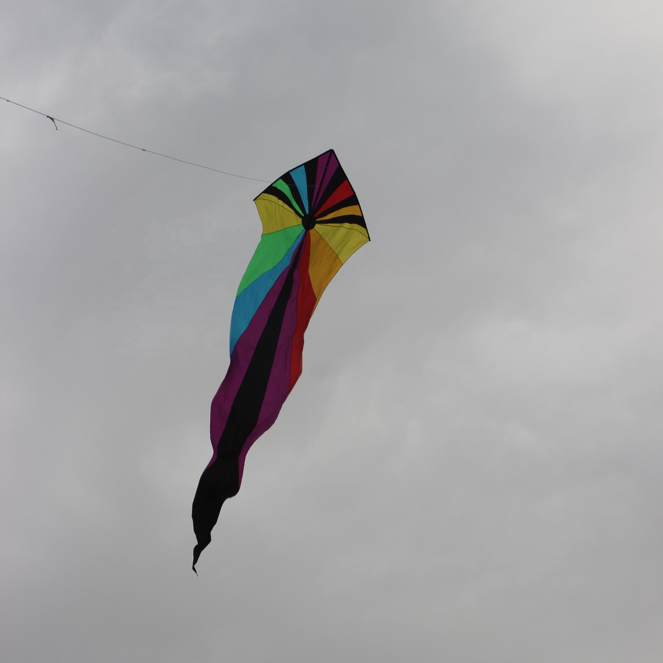 New Delta kite with big tail from weifang kite factory