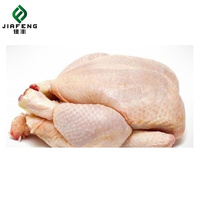 완벽한 프리미엄 등급 냉동 통닭, 고품질 냉동 통닭 및 부위별 냉동 통닭