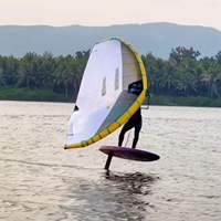 Aile de surf gonflable portable avec fenêtre en PVC, cerf-volant de surf pour sports nautiques