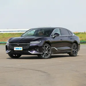 새롭게 디자인 된 VOYAH/Lantu 쫓는 빛 730km 580kmLong 레인지 에디션 510HP EV 4WD 순수 전기 자동차 보증금