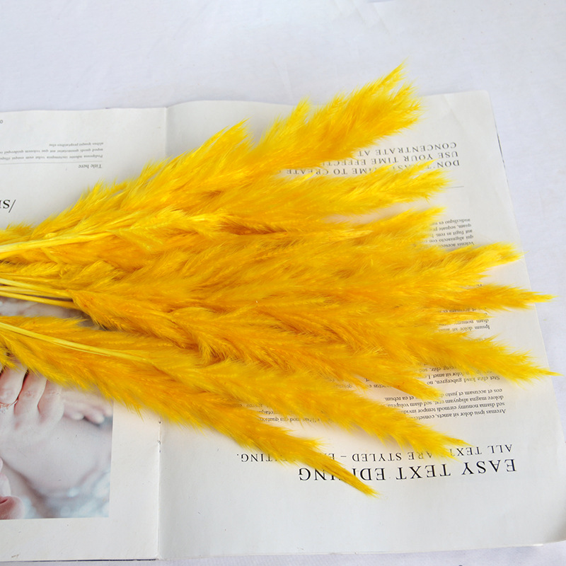 สีเหลือง