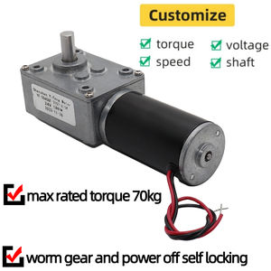 גבוה מומנט עצמי 5840-31z 80 ק "ג תולעת הילוכים מנועים 12v dc 24v טורבינה חשמלית מברשת עבור מכונה - Product Image 2