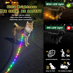 ปลอกคอสุนัขแบบกันน้ำพร้อมสายจูงและสายต่อขยายแบบ USB-C พร้อมไฟ LED สำหรับเดินเล่นตอนกลางคืนเพื่อความปลอดภัย ผลิตตามมาตรฐาน BSCI คุณภาพพรีเมียม - Product Image 3