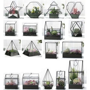 Bloem <span class=keywords><strong>Terrarium</strong></span> Helder Glazen Pot Bloempotten Plantenbakken Glas <span class=keywords><strong>Terrarium</strong></span> Huis Bloempot Klein <span class=keywords><strong>Terrarium</strong></span> - Product Image 6