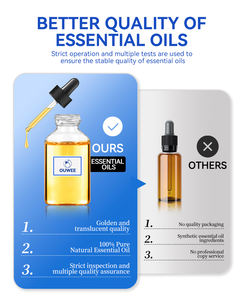 Nouveauté Huiles parfumées en gros Dubaï Parfum d'hôtel Parfum de fruits Huile essentielle Collection d'hôtel Huile de diffuseur de parfum - Product Image 6