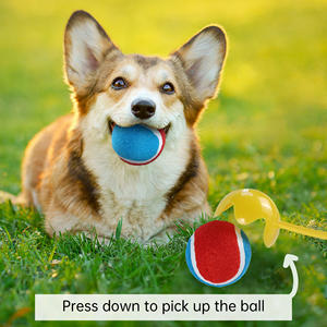 C4P fabbrica vendita diretta allenamento all'aperto esercizio di palla da Tennis lanciatore per prendere cane palla lanciatore - Product Image 3