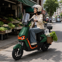 Nouveau vélo électrique à deux roues pour adultes, norme nationale - Approvisionnement transfrontalier direct d'usine