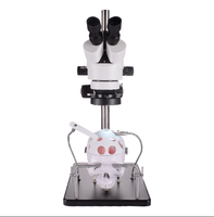 Simulador de Microcirugía Extra-Divina, Microscopio de Entrenamiento Microquirúrgico Extracerebral, Anastomosis Vascular