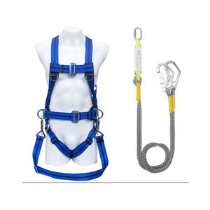 Climbing Harness Safety Rope Heavy-Duty Webbing Fall Protection <b>Lanyard</b> Stainless Steel D-Ring for Rock Climbing Industrial Work - Product Image 1