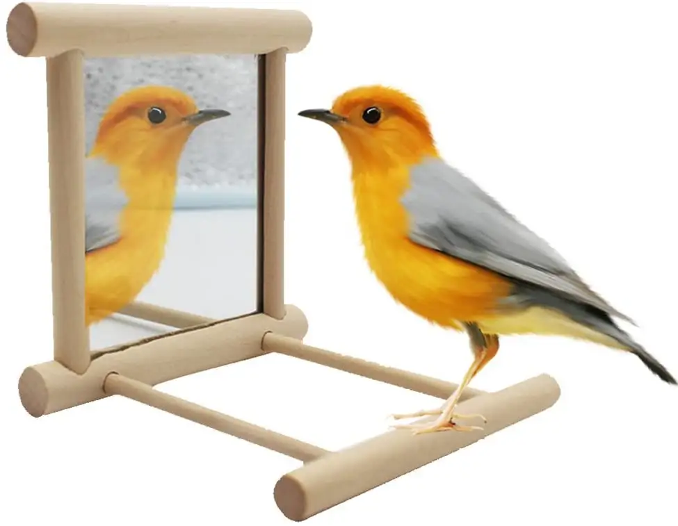 Pet Supplies Wooden Pet Birds Toys Parrot Bird Cage Accessories Parrots Stand Tray Climb With Mirror