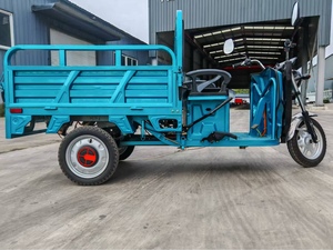 Petit tricycle électrique pour le transport de marchandises, <span class=keywords><strong>prix</strong></span> réduit pour les entreprises, tricycle électrique avec certificat EEC - Product Image 2
