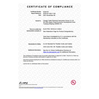 Servicio Personalizado, Cable Eléctrico de 105 Grados CA, 600V o 1000V, EVE 2*9AWG, Fabricantes de Cables, Empresas de Cables, Cable de Carga para Automóviles