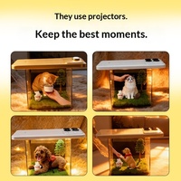 Projecteur holographique 3D pour animaux de compagnie avec boîtier en plastique, compagnon éternel, décoration d'intérieur, de Zhejiang