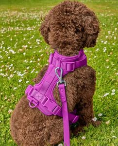 BSCI Factory Wholesale Custom Waterproof Adjustable Premium Reversible Vest Easy Walk Dog <b>Harness</b> Pet Collar - Product Image 3