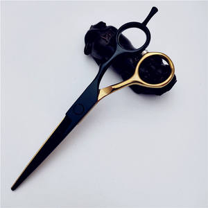 Tijeras de Peluquería Inoue Kasumi de 6.0 Pulgadas, Tijeras de Entresacar para Salón de Belleza, Uso con Mano Derecha, Acero Inoxidable - Product Image 1