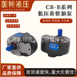 ปั๊มเกียร์ไฮดรอลิกแบบเชื่อมต่อหน้าแปลน CB-B6 ขับเคลื่อนด้วยมอเตอร์ ปั๊มแบบปริมาณคงที่ - Product Image 5