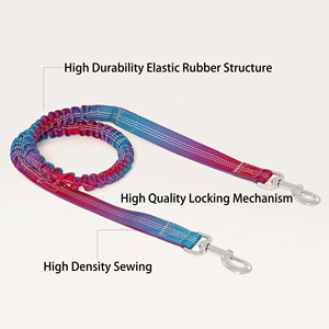 Custom Bulk Gradient Colors Running Pet Leashes With Reflective Sports Waist Pack Hand Free Snap Hook For Bungee <b>Dog</b> Leash - Product Image 2