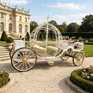 Réplique de calèche électrique Cendrillon légère avec roues à rayons, chariot d'exposition pour photographie extérieure, freins hydrauliques à main et au pied, automobile - Product Image 1