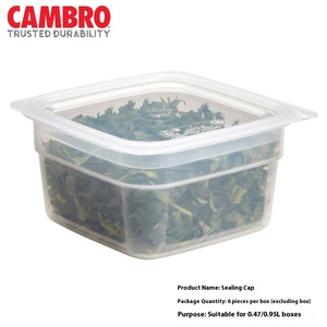 Boîtes carrées en polypropylène translucide de petite capacité 0,95 L 0,47 L avec couvercle hermétique en plastique pour prolonger la durée de conservation des aliments, hôtels, restaurants - Product Image 2