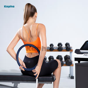 Nouvelles Machines Pemf Equine PMST LOOP PRO MAX Pemf Dispositif de thérapie par champ électromagnétique pulsé pour l'homme et le cheval - Product Image 4