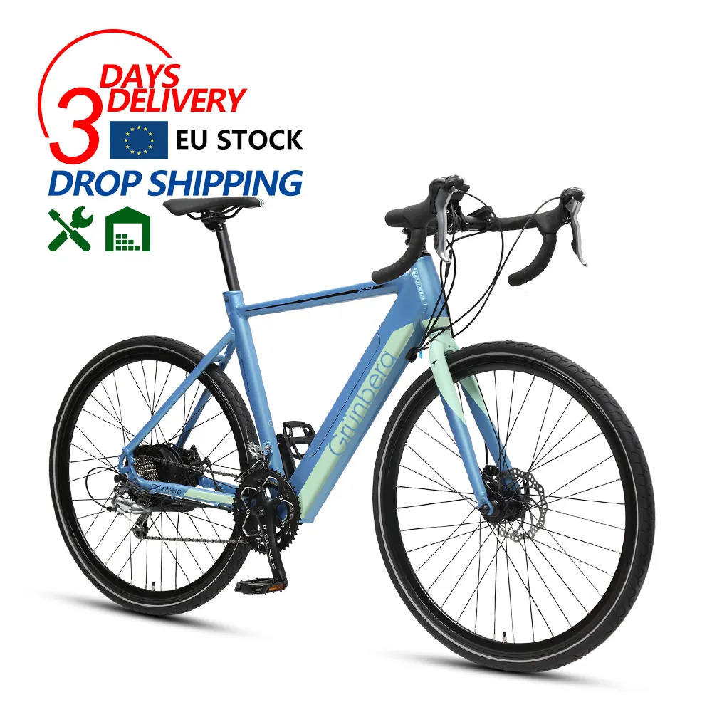 Stock ready txed 36V/250W 20 velocità bici da strada elettrica velocità e bici