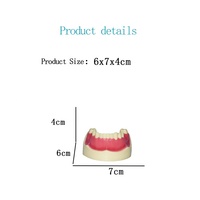 Modelo de enseñanza de práctica de implantes dentales