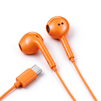 Écouteurs intra-auriculaires filaires avec prise de type C, expérience audio avec basses profondes, casque filaire portable compatible avec la plupart des appareils intelligents à interface de type C