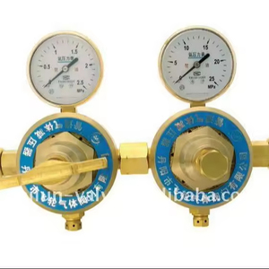 Decompressore Industriale YQJ-11 a Doppia Unità per Ossigeno O2, Regolatore H2/Ar/Aria - Product Image 2