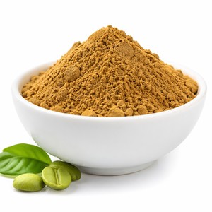 Estratto Naturale in Polvere di Chicchi di Caffè Verde, Grado Alimentare, <span class=keywords><strong>Certificato</strong></span> HPLC, 50% Acido Clorogenico, Integratore per la Perdita di Peso - Product Image 1